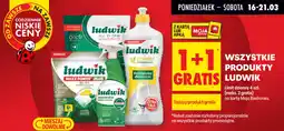 Biedronka Produkty ludwik oferta