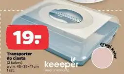 Netto Transporter do ciasta oferta