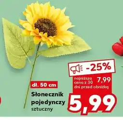 Kaufland Słonecznik pojedynczy sztuczny oferta