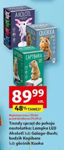 Auchan Głośnik kuoka oferta