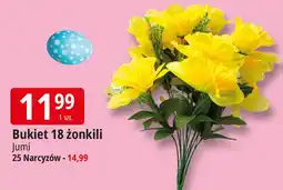 E.Leclerc Bukiet 25 narcyzów Jumi oferta
