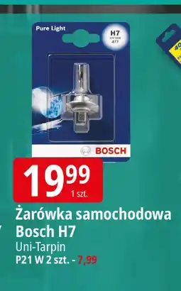 E.Leclerc Żarówki pure light p21w białe Bosch oferta
