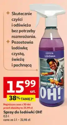 Auchan Spray do lodówki oferta
