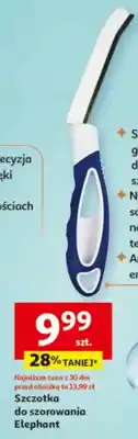 Auchan Szczotka do szorowania oferta