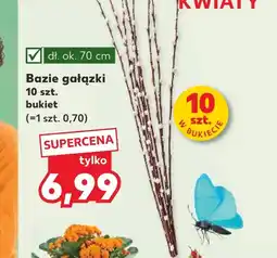 Kaufland Bazie Ok oferta