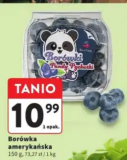 Intermarche Borówka amerykańska oferta