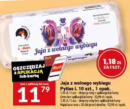 Twój Market Jaja z wolnego wybiegu Pytlus L oferta