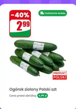 Dino Ogórek zielony polski 1 szt oferta