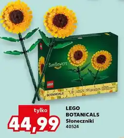 Kaufland Klocki Botanicals Słoneczniki 40524 oferta
