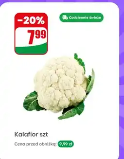 Dino Kalafior 1 szt oferta