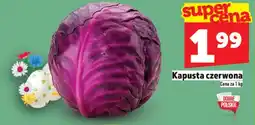 Topaz Kapusta czerwona Na dobre oferta