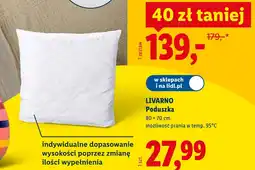 Lidl Poduszka Livarno oferta
