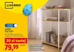 Lidl Regał Livarno oferta