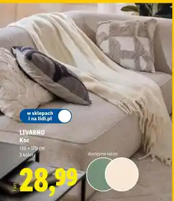 Lidl Koc Livarno oferta