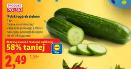 Lidl Ogórek Polski oferta