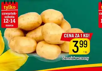 Delikatesy Piotruś Pan Ziemniak wczesny oferta