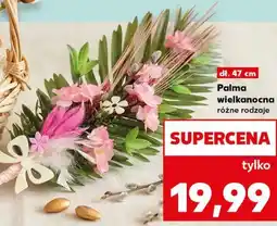 Kaufland Palma wielkanocna oferta