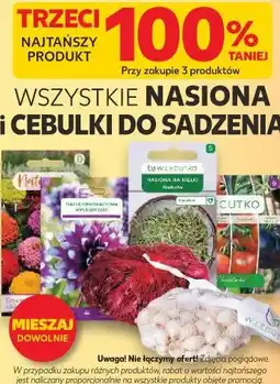 Kaufland WSZYSTKIE NASIONA i CEBULKI DO SADZENIA oferta