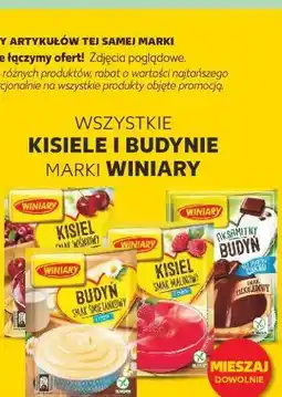 Kaufland WSZYSTKIE KISIELE I BUDYNIE MARKI WINIARY oferta