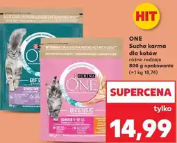 Kaufland ONE Sucha karma dla kotów oferta