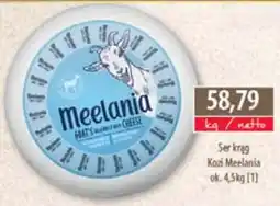 DUO-TES Ser krąg Kozi Meelania oferta