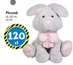 Tedi Pluszak ok. 60 cm oferta