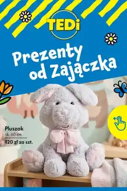 Tedi Pluszak oferta