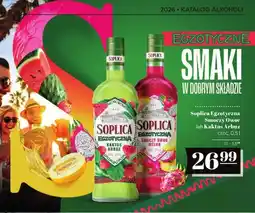 Polomarket Wódka Soplica Egzotyczna Smoczy Owoc lub Kaktus Arbuz CEDC oferta