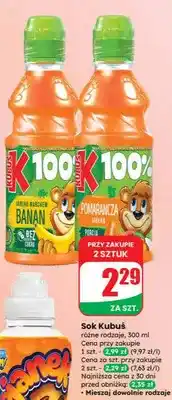 Dino Sok Kubuś oferta