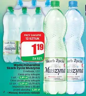 Dino Woda mineralna Muszyna oferta