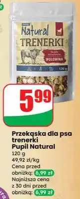 Dino Przekąska dla psa trenerki oferta