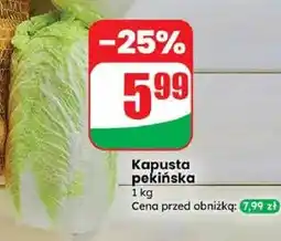 Dino Kapusta pekińska oferta