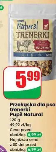 Dino Przekąska dla psa trenerki Pupil Natural oferta