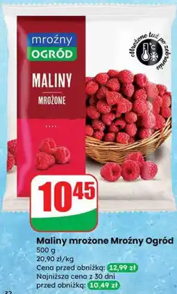 Dino Maliny mrożone Mroźny Ogród oferta