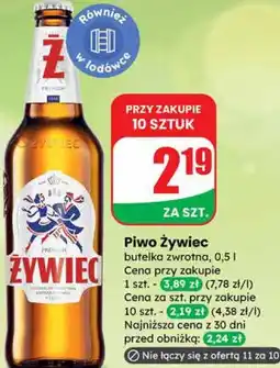 Dino Piwo Żywiec oferta