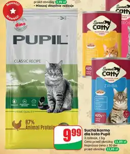 Dino Sucha karma dla kota Pupil oferta