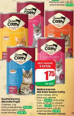 Dino Mokra karma dla kota Sweet Catty oferta