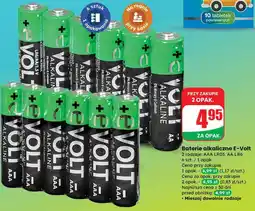 Dino Baterie alkaliczne E-Volt oferta