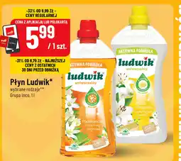 Polomarket Płyn Ludwik* wybrane rodzaje** Grupa Inco oferta
