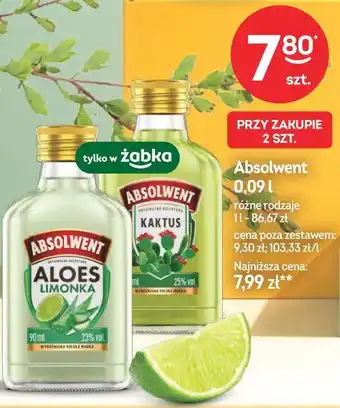 Żabka Absolwent oferta