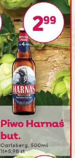 Bliski Piwo Harnaś oferta