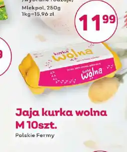 Bliski Jaja Kurka Wolna M oferta