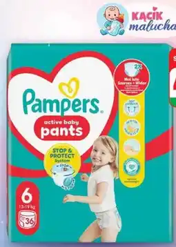 Dino Pieluchomajtki 3 rodzaje oferta