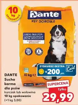 Kaufland Sucha karma dla psów kurczak oferta