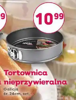 Bliski Tortownica nieprzywieralna oferta