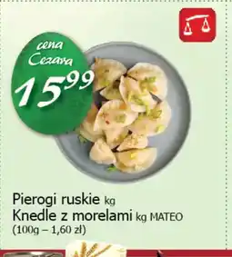 Cezar Delikatesy Pierogi ruskie oferta