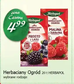 Cezar Delikatesy Herbaciany Ogród Herbapol oferta
