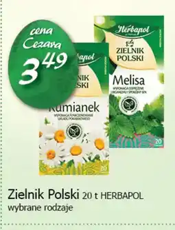 Cezar Delikatesy Herbapol Zielnik Polski oferta