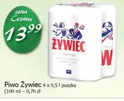 Cezar Delikatesy Piwo Zywiec oferta