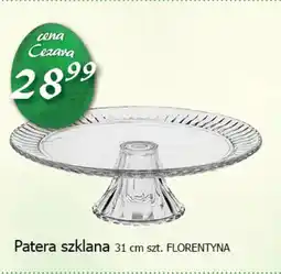Cezar Delikatesy Patera szklana Florentyna oferta